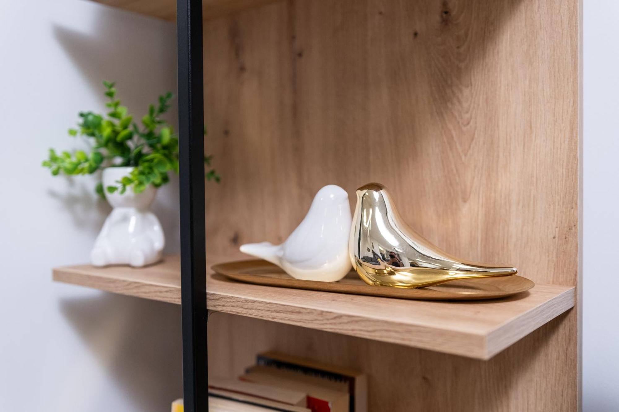 Modern 1-Bedroom Apartments Φιλιππούπολη Εξωτερικό φωτογραφία